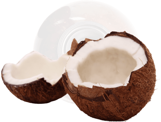 Coconut